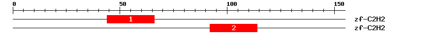 Signature Domain