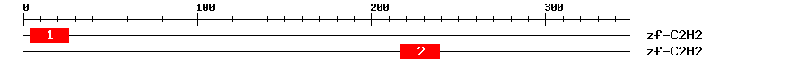 Signature Domain