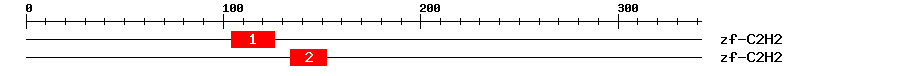 Signature Domain