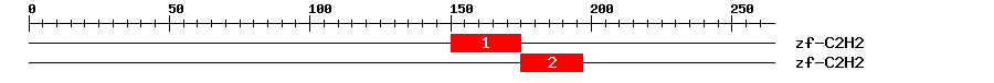 Signature Domain