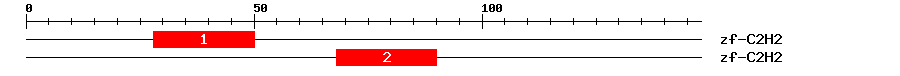 Signature Domain