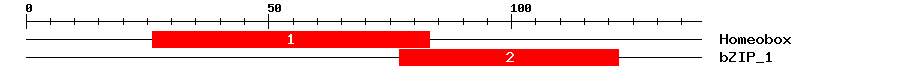 Signature Domain