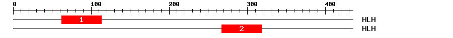 Signature Domain