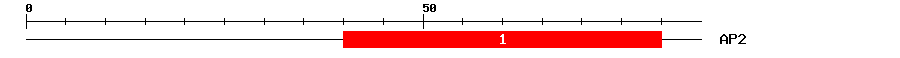 Signature Domain