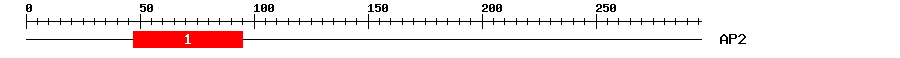 Signature Domain