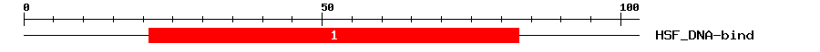 Signature Domain