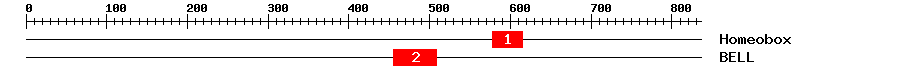 Signature Domain