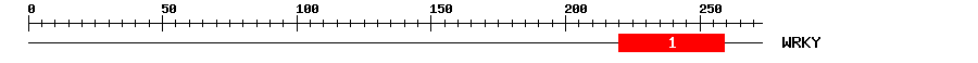 Signature Domain