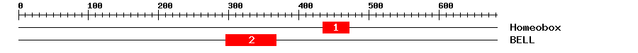 Signature Domain