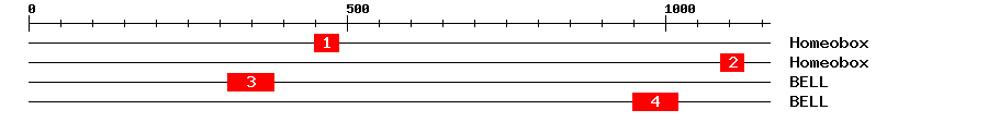 Signature Domain