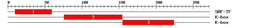 Signature Domain