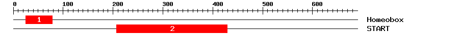 Signature Domain