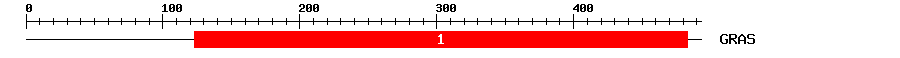 Signature Domain