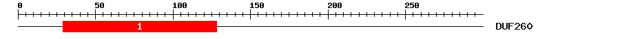 Signature Domain