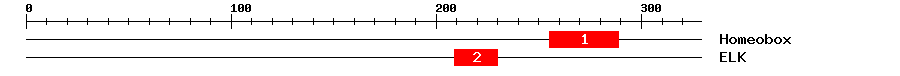 Signature Domain