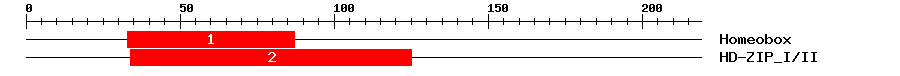 Signature Domain