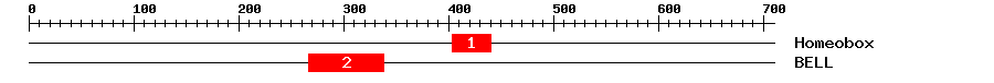 Signature Domain