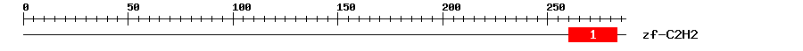 Signature Domain