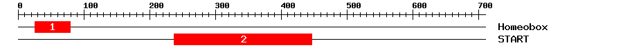 Signature Domain