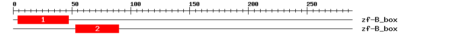 Signature Domain