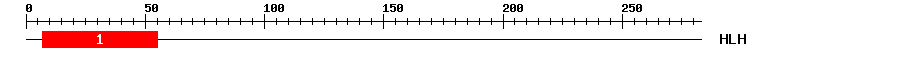 Signature Domain