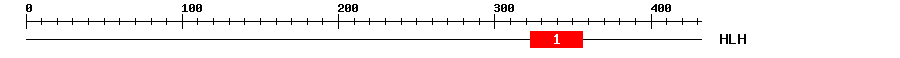 Signature Domain