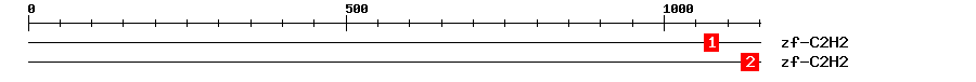 Signature Domain