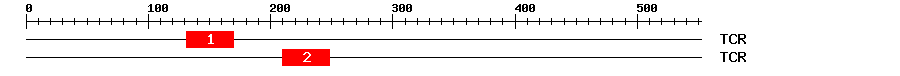 Signature Domain