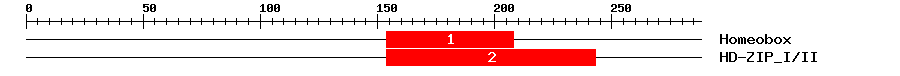 Signature Domain