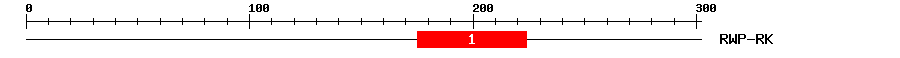 Signature Domain