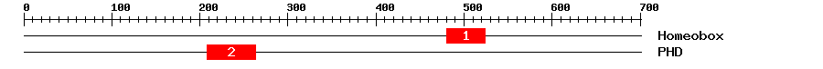 Signature Domain