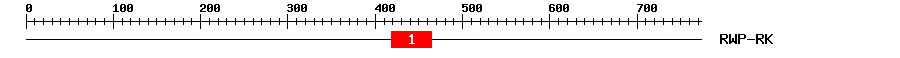 Signature Domain