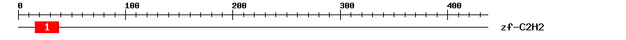 Signature Domain