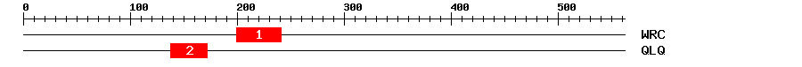 Signature Domain