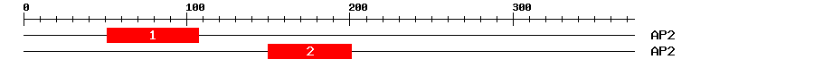 Signature Domain