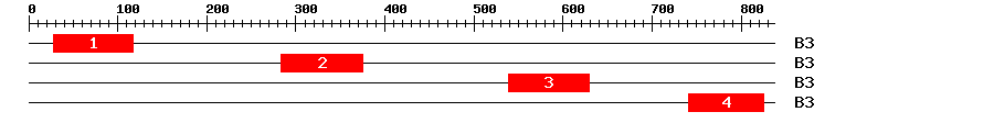 Signature Domain