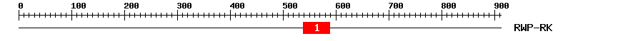 Signature Domain