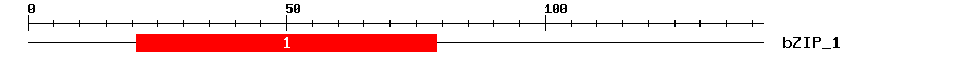 Signature Domain