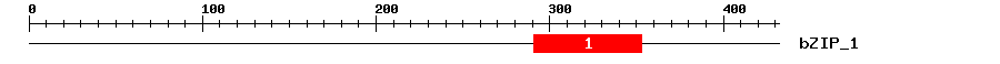 Signature Domain