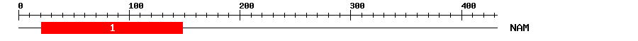 Signature Domain