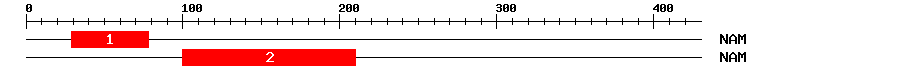 Signature Domain