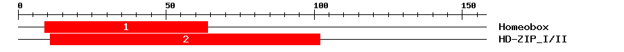 Signature Domain