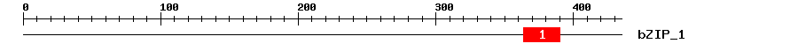 Signature Domain