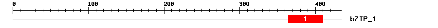 Signature Domain