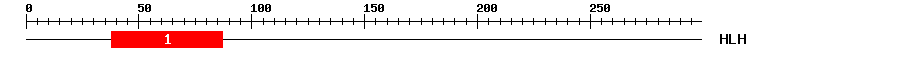 Signature Domain