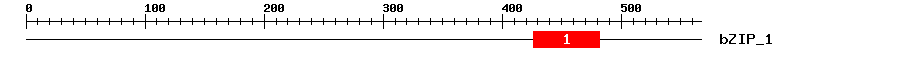 Signature Domain