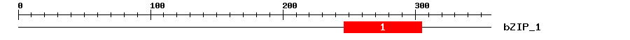 Signature Domain