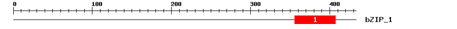 Signature Domain