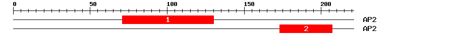 Signature Domain