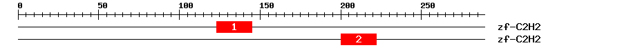 Signature Domain